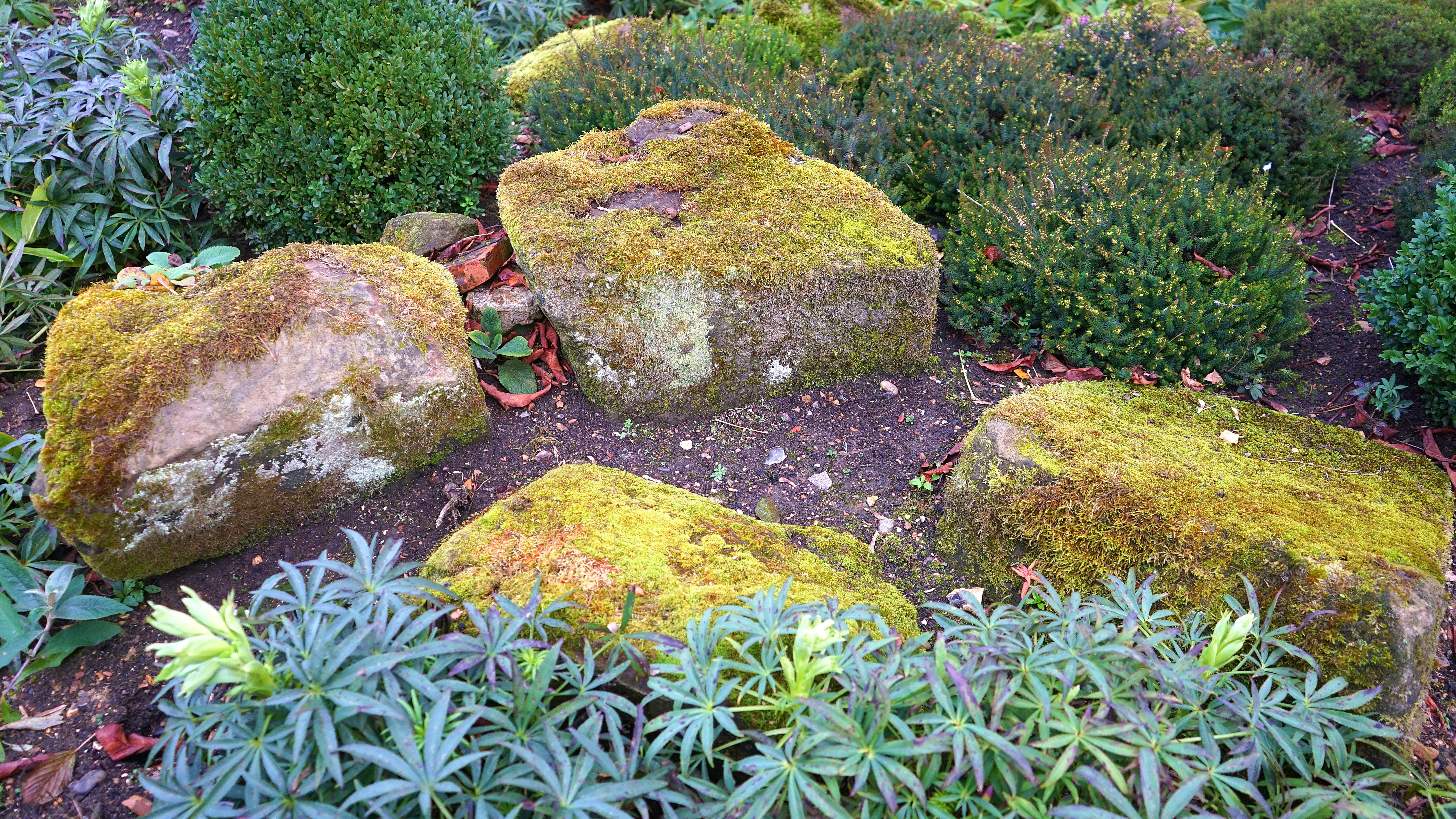 Gardens & Grass